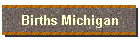 Births Michigan