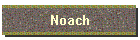 Noach